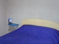 Departamento Pacheco de melo 3435