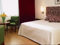 NH Mendoza Cordillera