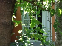 Los Olivos Ranch & Breakfast