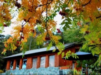 CabaГ±as Villa PaГ±il