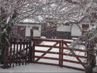 CabaГ±as Pehuen Calvu