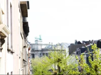 B&B Because the Night