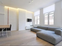 Luxurious Stylish Apartment