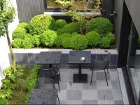 B&B A CГґtГ© du Cinquantenaire