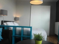 Brussels Louise Penthouse