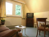 Entre Sources Et Bois