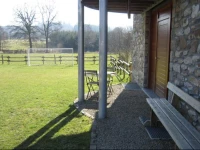 L Ecureuil ГЂ La LisiГЁre De La ForГЄt