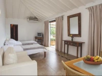 Passeio das Palmeiras