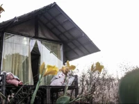 BangalГґ PalhoГ§a