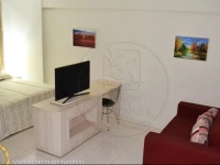 Golden Dolphin Supreme