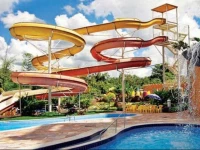 Golden Dolphin Temporada