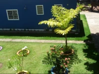 Morada das Palmeiras