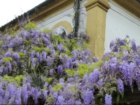 Pouso LГ­ria Toffolo B&B