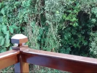 Casa Portal Dos Sonhos