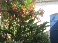 Pousada Familiar Calamares