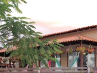 Casa Colecionadora de Sonhos