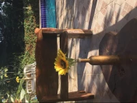 Pousada PirenГіpolis