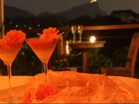 Boutique Hotel GГЎvea Tropical