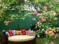 Alma de Santa Guest House