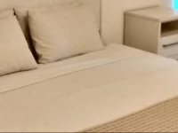 Ataulfo de Paiva 319