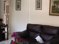 Ataulfo de Paiva Apartment