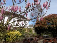 Brondesbury Apartments 3*