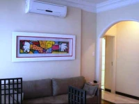 Barata Ribeiro Apartment