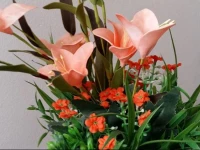 Belo Apartamento Proximo A Praia