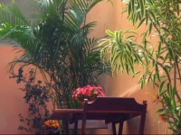 Casa da Escada Hostel