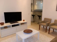Design Apartment Ipanema V058