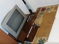 Great and Silent Barata Ribeiro