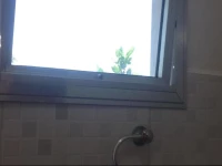 Hostel Rojan - Vidigal