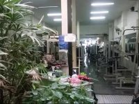 Hostel ZГ© Carioca