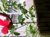 La Santa Cozy Apartment