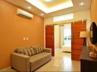 Luxury Apartments Rio