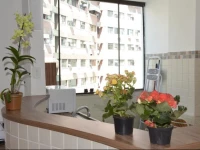 Studio Leblon Bartolomeu Mitre