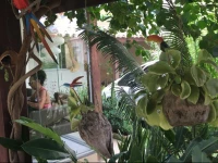 Appartement ItapuГЈ