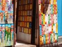 Hostel Pousada PintГґPelГґ