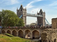 Still Life Tower Hill Executive