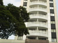 Tsue The Palace Flat