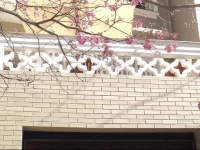 Hostel Bella Paulista