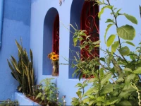 RedBlue Hostel HigienГіpolis