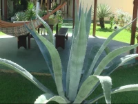 Hotel Vale Verde Coroa Vermelha