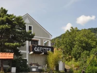 Г“bester PanziГі