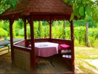 KlГЎra VendГ©ghГЎz