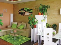 Apartment BalatonfГјred 10