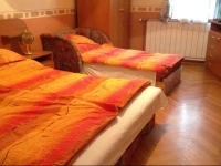 ViktГіria PanziГі