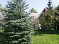 Holiday home Balatonmariafurdo 44