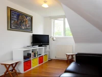 Wimbledon Sports Apartment