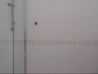 Basilica Garden View